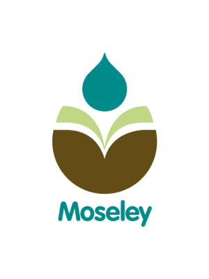 Moseley Primary - Coventry