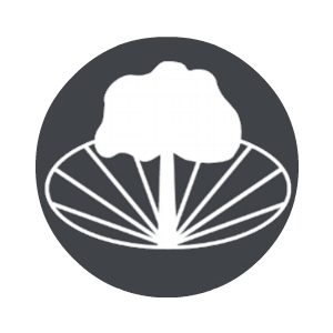 Stockland Green School