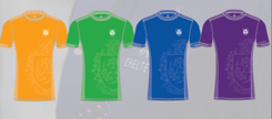 THE KINGSLEY SCHOOL HOUSE T-SHIRT