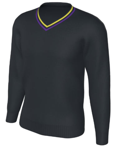 WALSALL ACADEMY VNECK