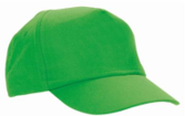 WARWICK PREP HOUSE BASEBALL CAP