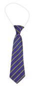St Mary Immaculate Catholic Tie