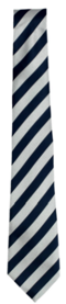 WARWICK SCHOOL FULL COLOURS TIE