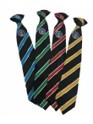 Cheslyn Hay Academy House Tie