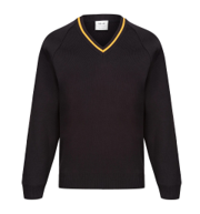 HENLEY-IN-ARDEN SCHOOL JUMPER