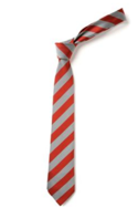 Barford St Peter's C.E. Primary School Tie
