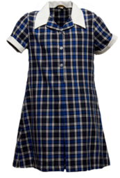THE KINGSLEY SCHOOL PREP SUMMER DRESS