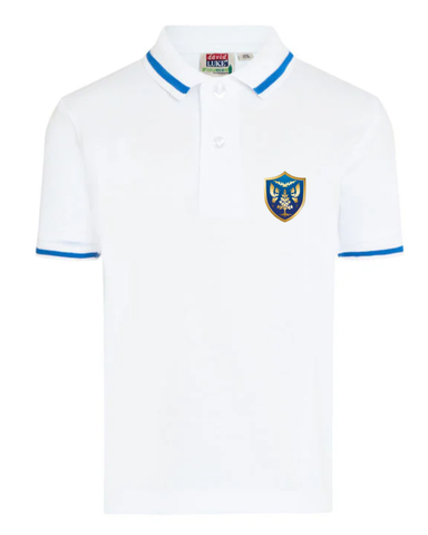 THE STREETLY ACADEMY SUMMER POLO