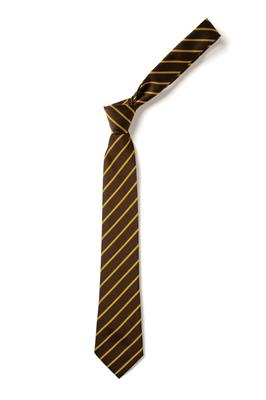 ST ANNE'S CATHOLIC PRIMARY TIE