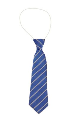ST JOSEPH'S CATHOLIC PRIMARY SCHOOL SUTTON COLDFIELD TIE