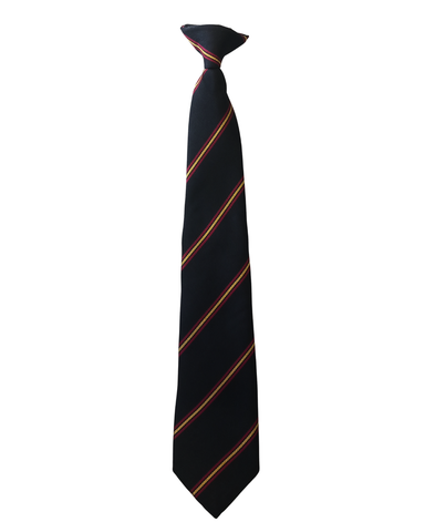 Caludon Castle Tie