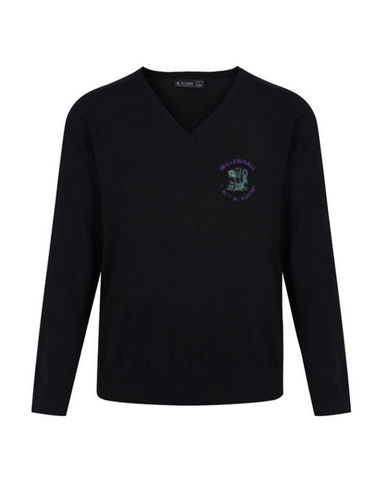 WILLENHALL ACADEMY V NECK JUMPER