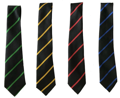 BLOXWICH ACADEMY HOUSE TIE