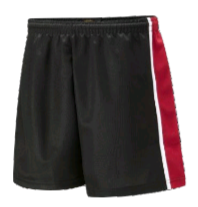 ST JOSEPH'S COLLEGE SHORTS