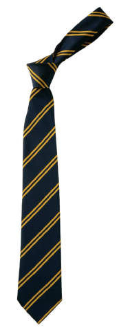 NAVY/GOLD TIE