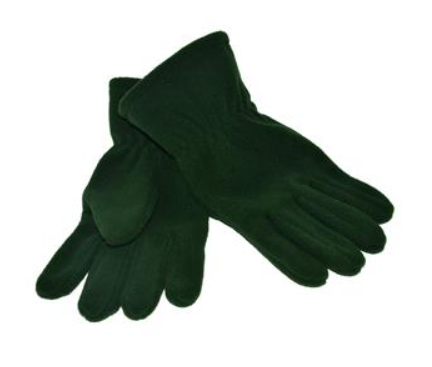 GLOVES