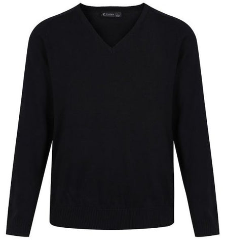 GREAT BARR ACADEMY BOYS V-NECK