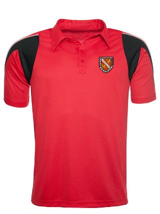 MOSELEY SECONDARY POLO – Clive Mark