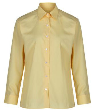 TRUTEX LONG SLEEVE NON-IRON BLOUSE (TWIN PACK) (GOLD)