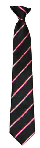 ST THOMAS AQUINAS HOUSE TIE