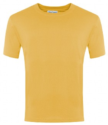 BANNER CHAMPION T-SHIRT