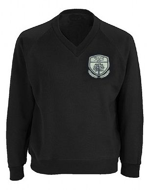 TURVES GREEN GIRLS YR 9-11 V-NECK SWEATSHIRT