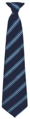 HALL GREEN SECONDARY HOUSE TIE